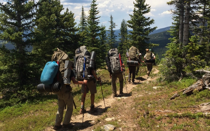 a group of people follow a trail away from the camera